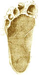 Orma piede preistorico